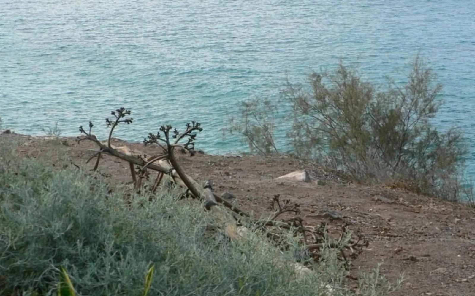 Coastal ocean view with scenic seascape
